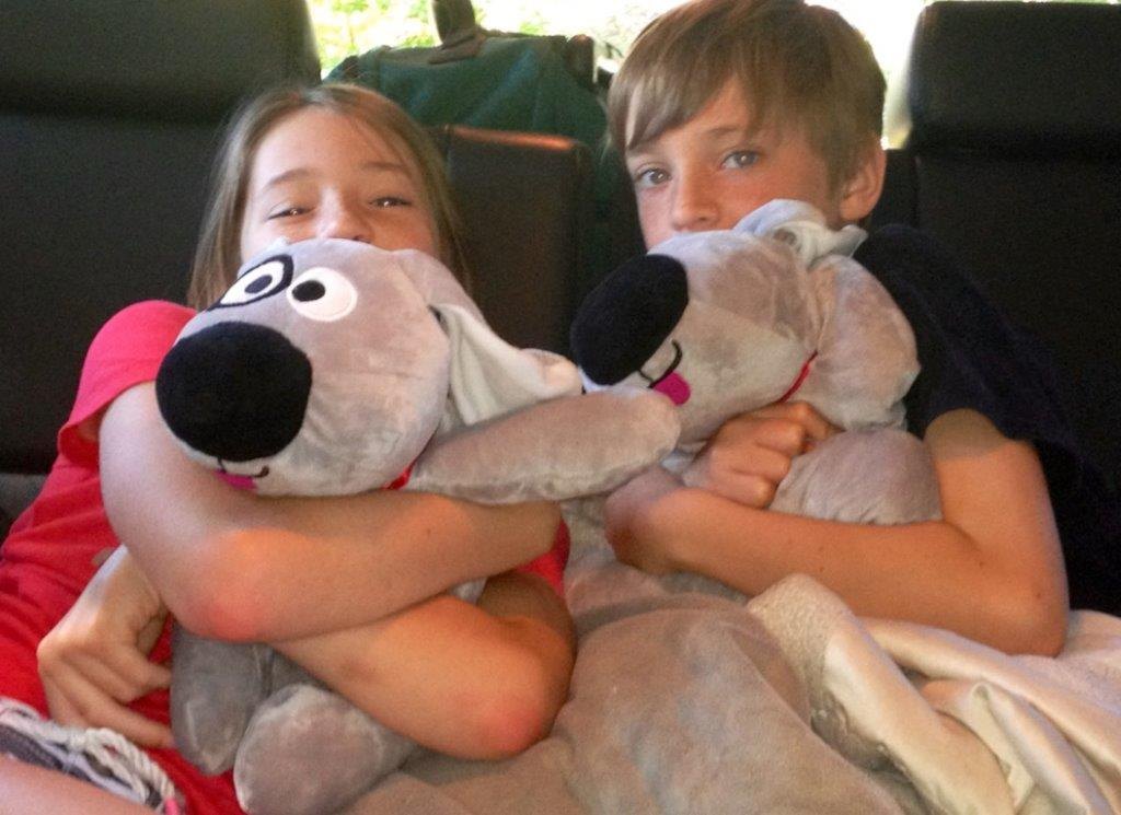 Double Trouble! Pair of Calming Plush Comfort Dogs