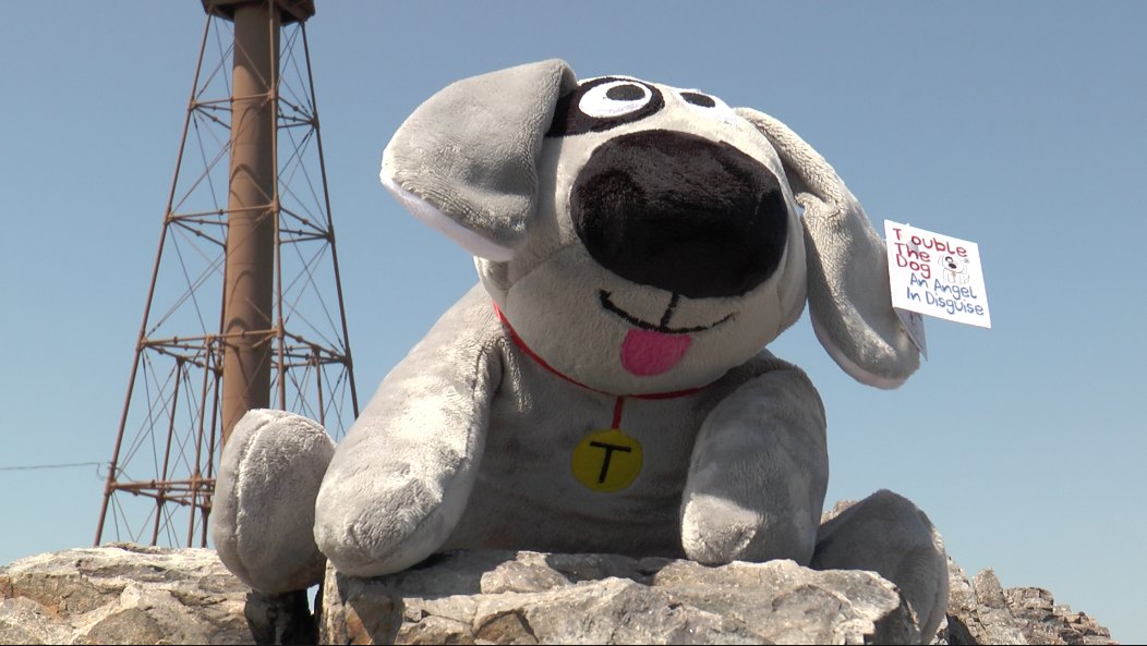 Trouble the Dog by the lighthouse in Marblehead