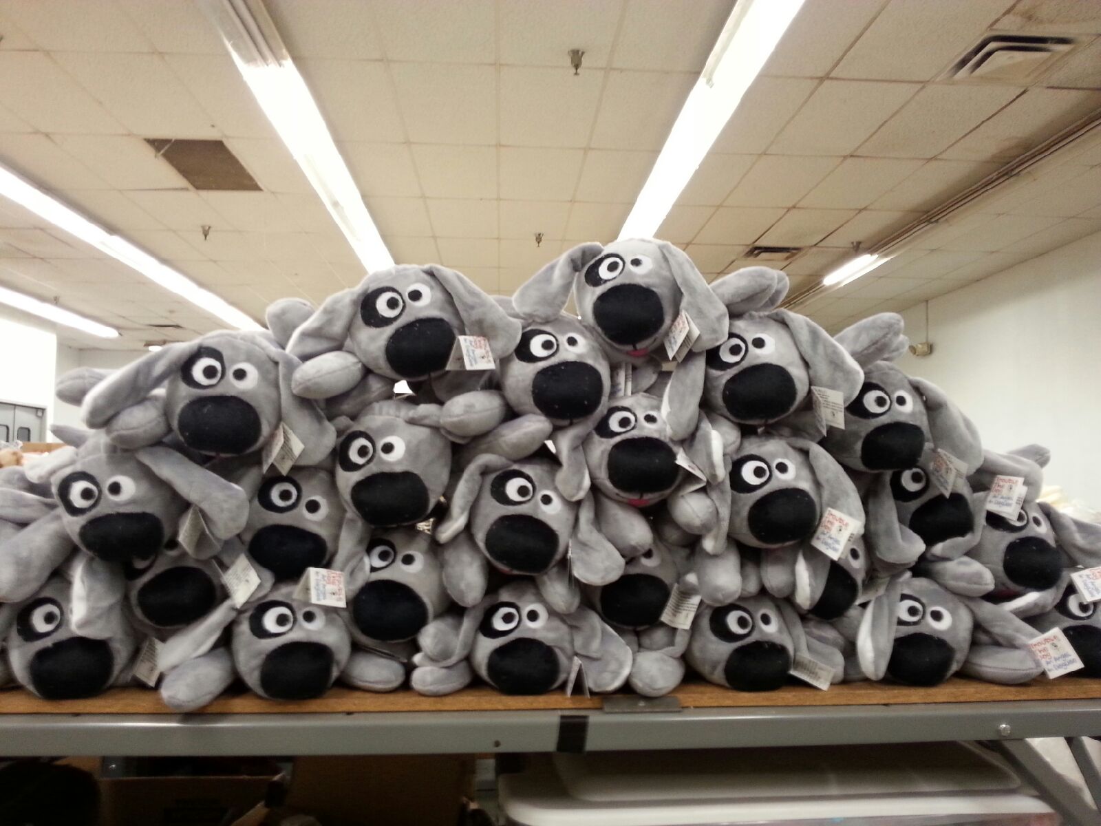 A pack of Trouble Dogs ready for delivery